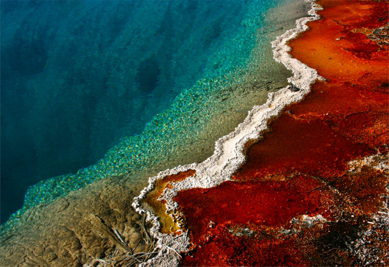 Best Intermediate Image of the Month